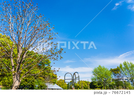 東京都多摩市 春の鶴牧西公園 東京都多摩市 春の鶴牧西公園 76672145
