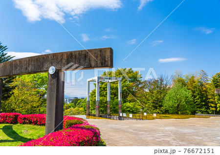 東京都多摩市　春の鶴牧西公園 76672151