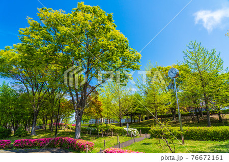東京都多摩市 春の鶴牧西公園 東京都多摩市 春の鶴牧西公園 76672161