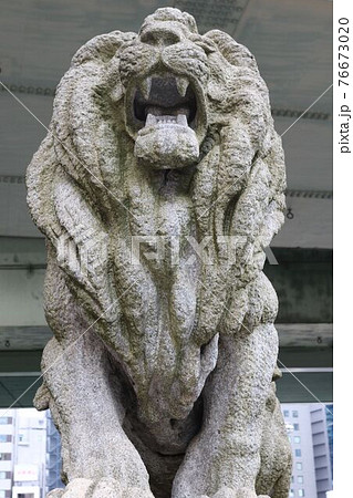 大阪難波橋の「獅子像」 大阪難波橋の「獅子像」 76673020