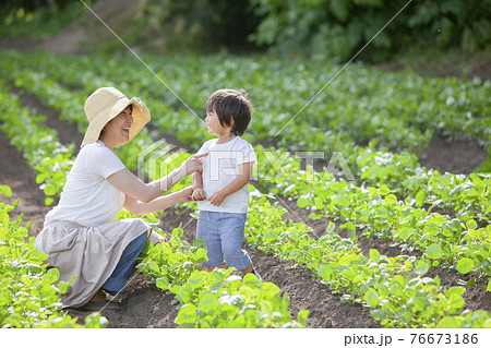 畑で仕事をする農家のお母さんと子ども 畑で仕事をする農家のお母さんと子ども 76673186