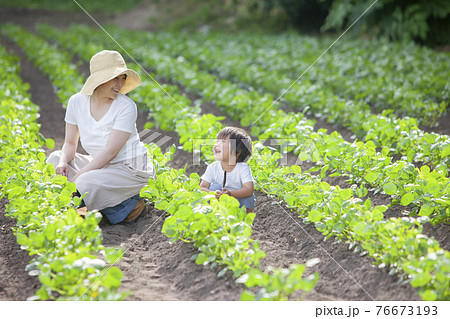 畑で仕事をする農家のお母さんと子ども 76673193