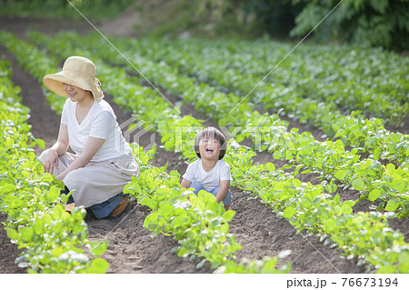 畑で仕事をする農家のお母さんと子ども 76673194