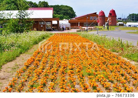 くるるの杜　北海道北広島市 76673336