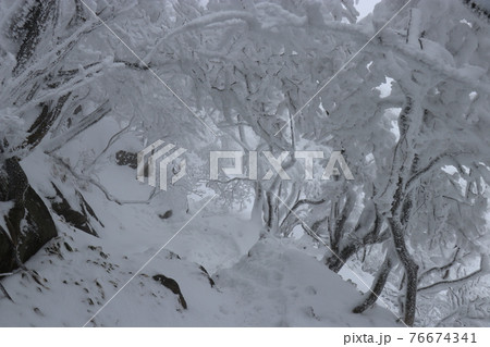 寒波、冬、霧氷、雪、英彦山、福岡県 76674341