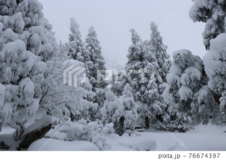 寒波、冬、霧氷、雪、英彦山、福岡県 寒波、冬、霧氷、雪、英彦山、福岡県 76674397