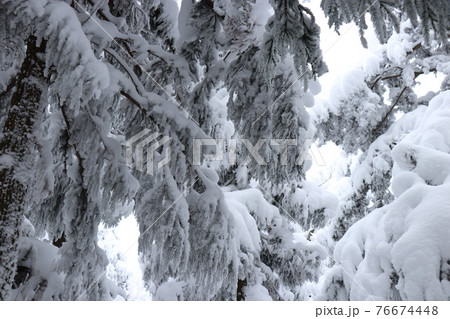 寒波、冬、霧氷、雪、英彦山、福岡県 76674448