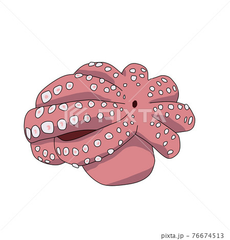 ゆでだこ（手描き） 76674513