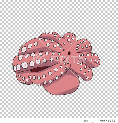 ゆでだこ（手描き） 76674513