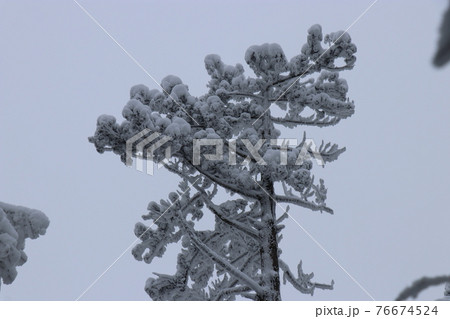 寒波、冬、霧氷、雪、英彦山、福岡県 76674524