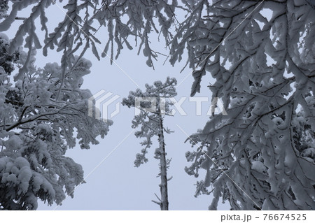 寒波、冬、霧氷、雪、英彦山、福岡県 76674525