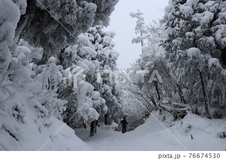 寒波、冬、霧氷、雪、英彦山、福岡県 76674530