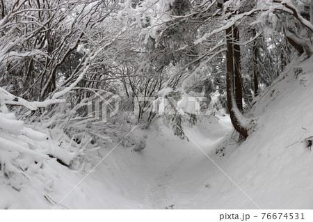 寒波、冬、霧氷、雪、英彦山、福岡県 76674531