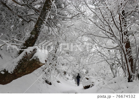 寒波、冬、霧氷、雪、英彦山、福岡県 76674532