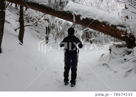 寒波、冬、霧氷、雪、英彦山、福岡県 76674533