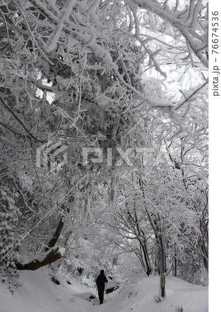 寒波、冬、霧氷、雪、英彦山、福岡県 76674536