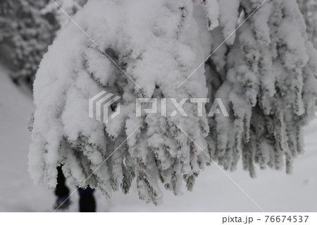 寒波、冬、霧氷、雪、英彦山、福岡県 76674537