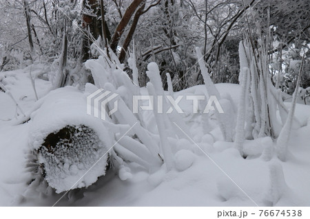 寒波、冬、霧氷、雪、英彦山、福岡県 76674538