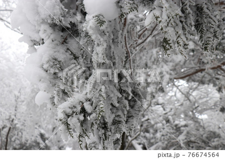 寒波、冬、霧氷、雪、英彦山、福岡県 76674564