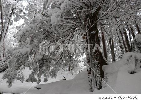 寒波、冬、霧氷、雪、英彦山、福岡県 76674566