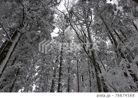 寒波、冬、霧氷、雪、英彦山、福岡県 76674568