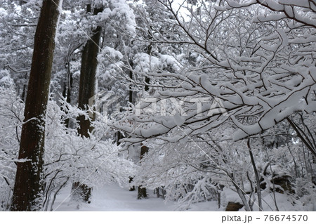 寒波、冬、霧氷、雪、英彦山、福岡県 76674570