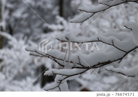 寒波、冬、霧氷、雪、英彦山、福岡県 76674571