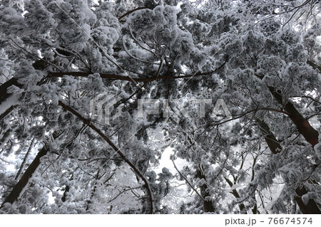寒波、冬、霧氷、雪、英彦山、福岡県 76674574