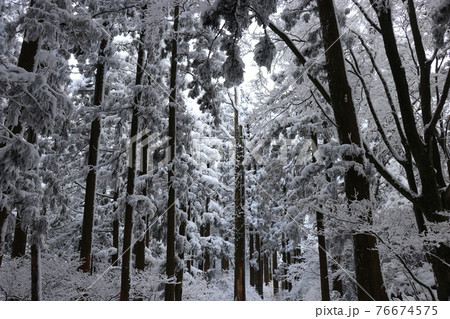 寒波、冬、霧氷、雪、英彦山、福岡県 76674575