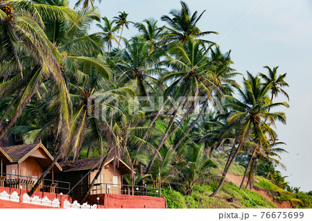 Beach huts and cottages made from bamboo,clay tiles and coconut leaves. Holiday destination concept images in Goa, India. Scenic Vacation and nature images for travel Beach huts and cottages made from bamboo,clay tiles and coconut leaves. Holiday destination concept images in Goa, India. Scenic Vacation and nature images for travel 76675699
