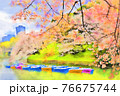 東京、千鳥ヶ淵の桜とボート（3月）東京都千代田区 76675744