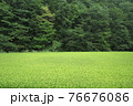 田園風景 76676086