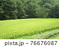 田園風景 76676087