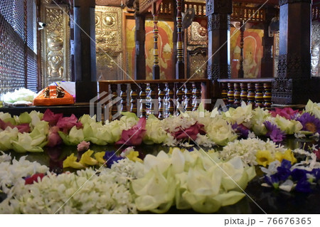 キャンディ、仏歯寺 76676365