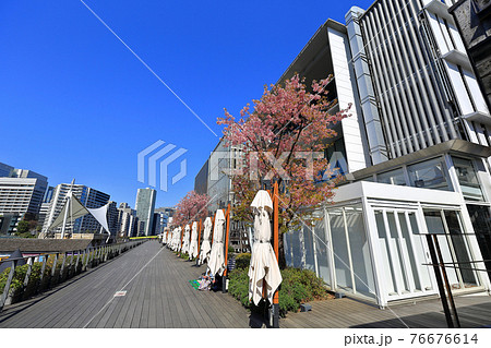 東京　天王洲アイルの都市風景　第三水辺広場 76676614