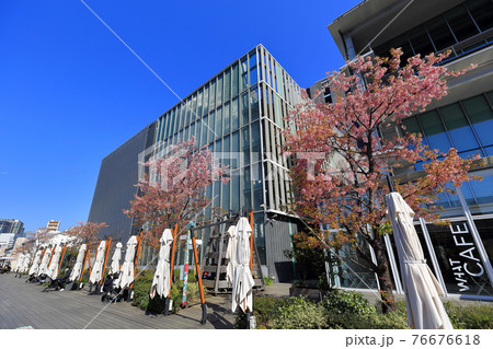 東京　天王洲アイルの都市風景　第三水辺広場 76676618