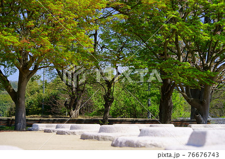 京都木津川市・高麗寺跡（こまでらあと）11 76676743
