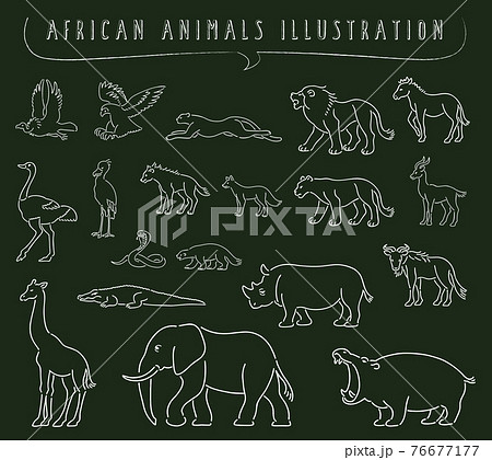 手描き風のアフリカの動物のイラストセットのイラスト素材
