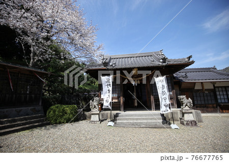 橘本神社 橘本神社 76677765