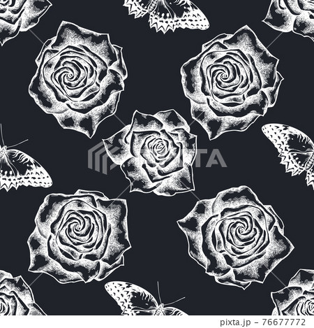 Seamless pattern with hand drawn chalk red lacewing, roses Seamless pattern with hand drawn chalk red lacewing, roses 76677772