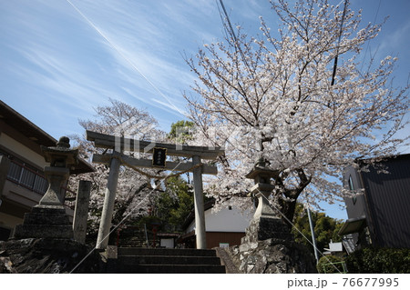 橘本神社 橘本神社 76677995