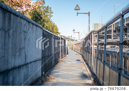 飛鳥の小径/北区西ヶ原 飛鳥の小径/北区西ヶ原 76679208