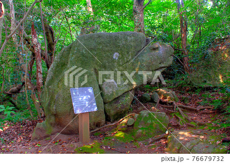 足摺岬・七不思議・亀石・亀呼場の方向を向いて鎮座する亀の形の岩・土佐清水市(2) 足摺岬・七不思議・亀石・亀呼場の方向を向いて鎮座する亀の形の岩・土佐清水市(2) 76679732