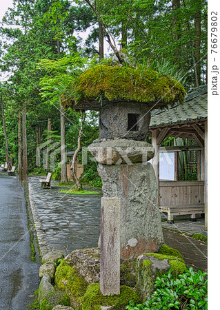 白山平泉寺ー苔寺 76679802