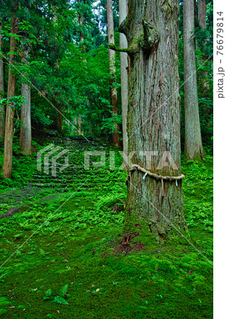 白山平泉寺ー苔寺 76679814