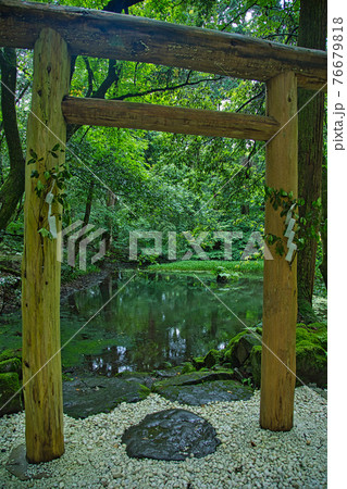 白山平泉寺ー苔寺 白山平泉寺ー苔寺 76679818