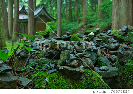 白山平泉寺ー苔寺 76679834