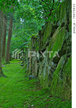 白山平泉寺ー苔寺 76679835