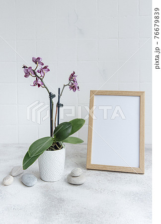 Closeup of purple phalaenopsis orchid in pot and mock up poster frame 76679839