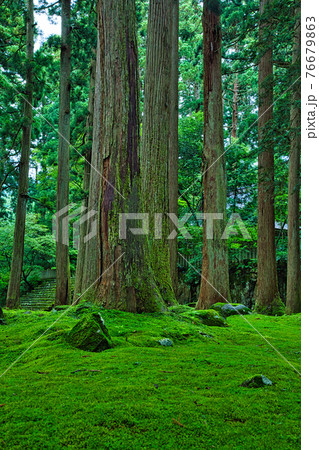 白山平泉寺ー苔寺 白山平泉寺ー苔寺 76679863